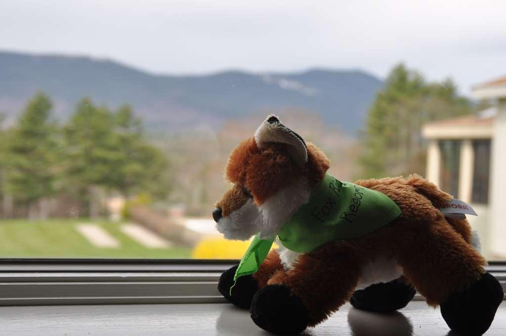 Fox Ridge Resort North Conway Exteriér fotografie